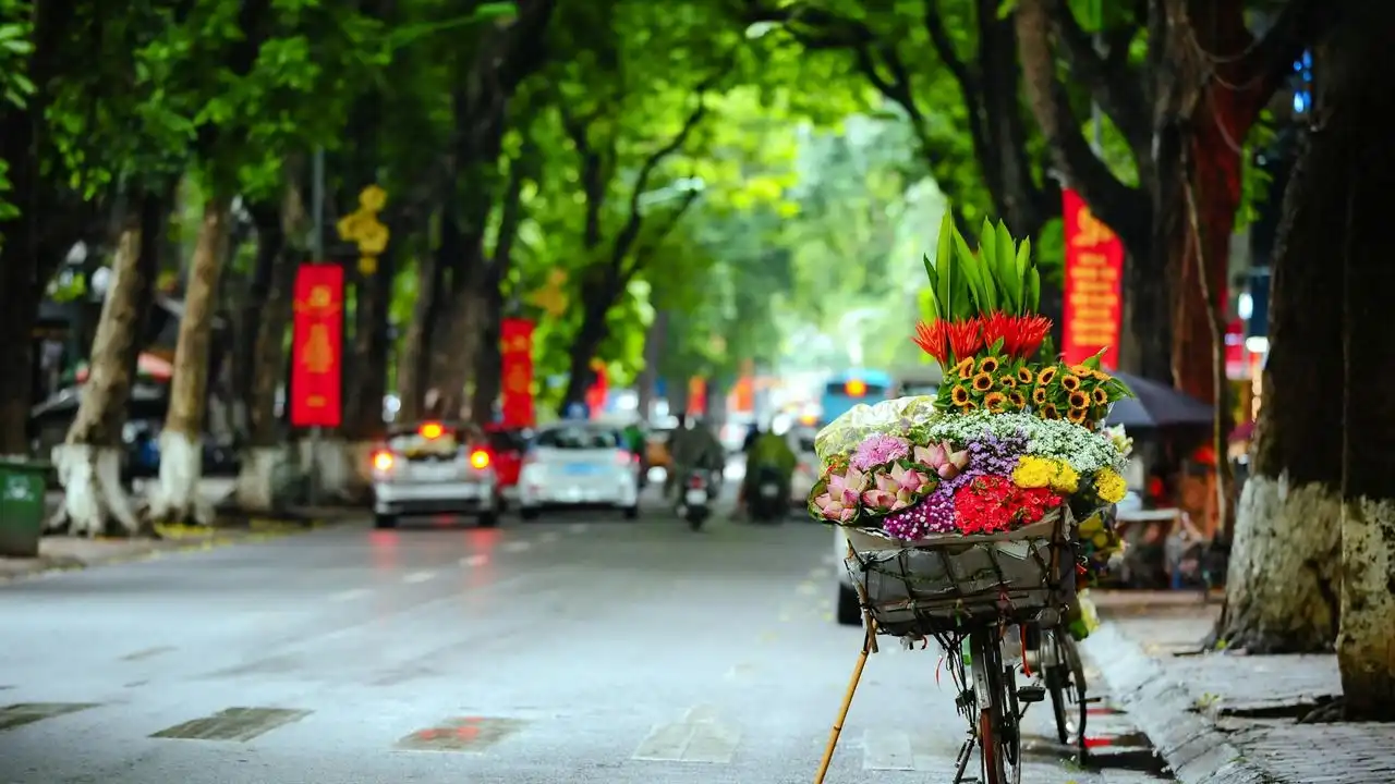 The 7 Best Apps To Learn Vietnamese (Tested And Reviewed)