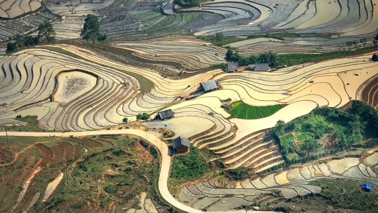 Glossika Vietnamese Review: Evaluating The Mass Sentence Method