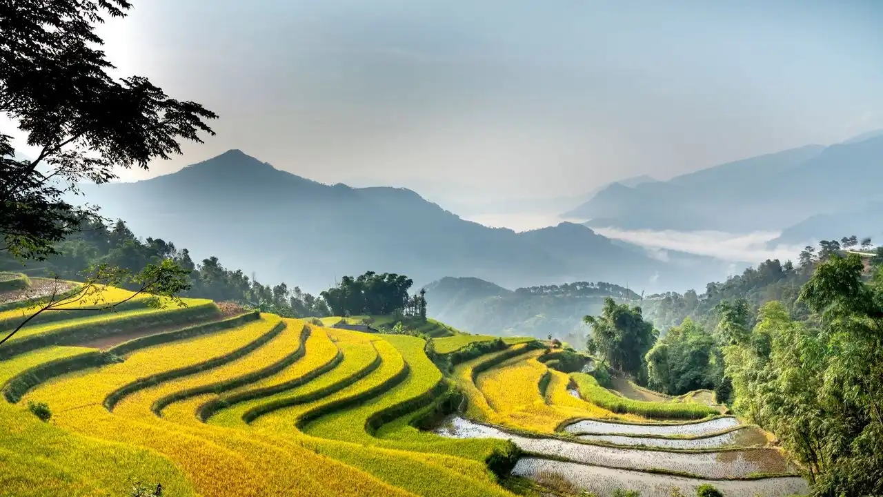 Pimsleur Vietnamese Review: A Detailed Look At The Audio Course