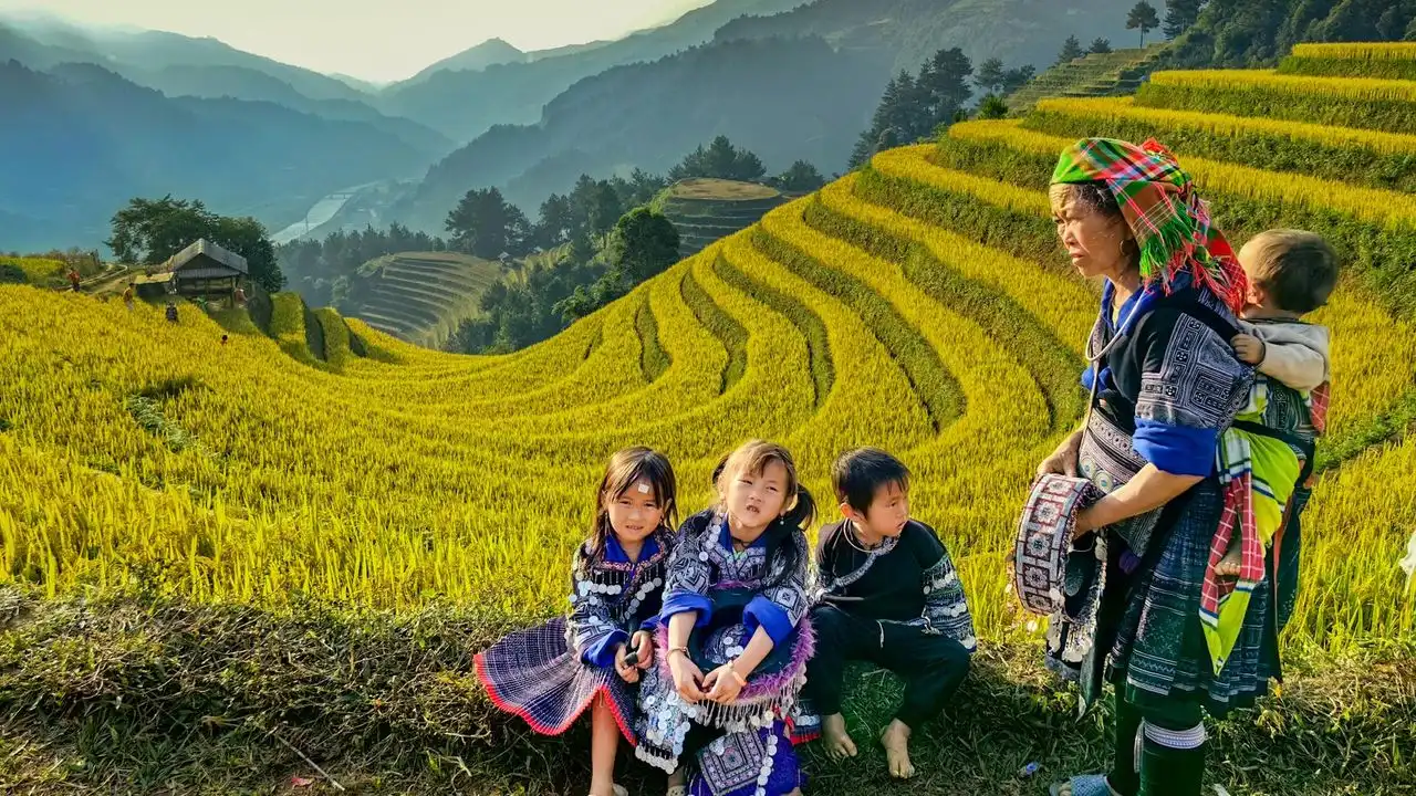 Vietnamese Sentence Structure: The Word Order Explained
